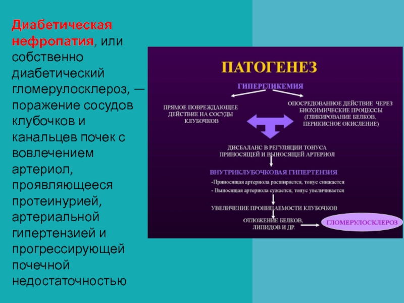 Диабетическая нефропатия презентация