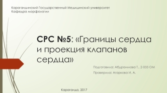 Границы сердца и проекция клапанов сердца