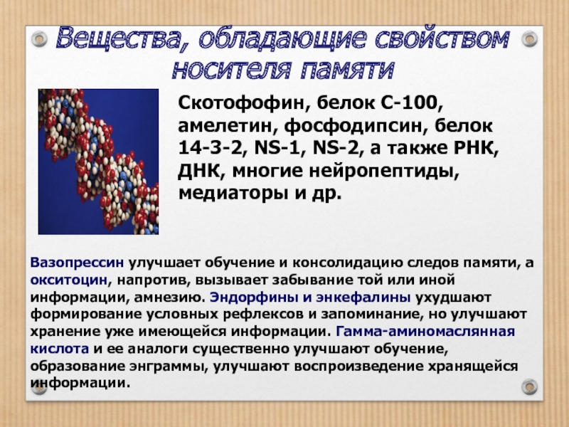 14 память. Белок 14-3-2. Белок памяти. Нейропептиды и белки памяти. Нейропептиды и белки памяти этология.