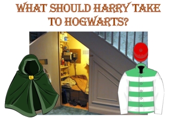 What should Harry take to Hogwarts?