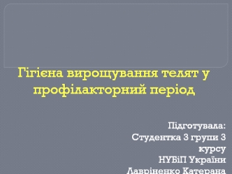 Гігієна вирощування телят у профілакторний період