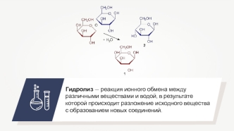 Гидролиз. Реакции гидролиза