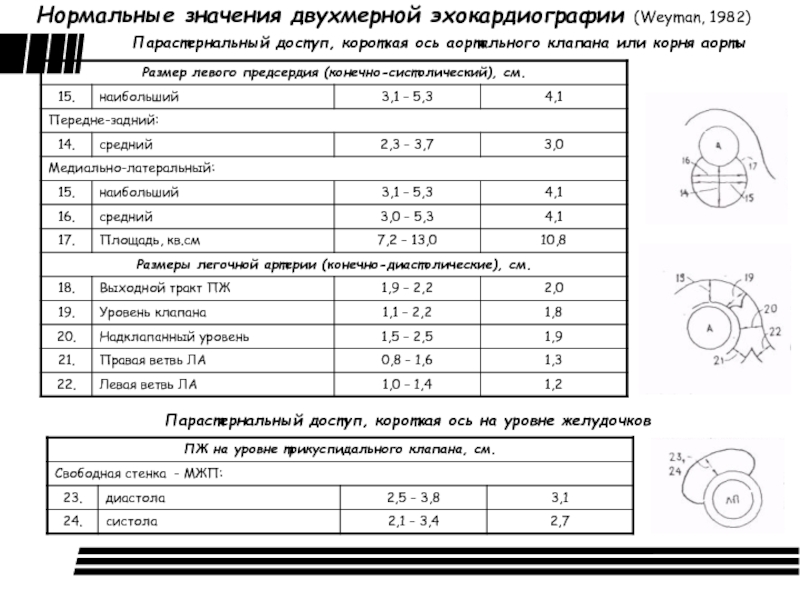 Учебный план эхокардиография