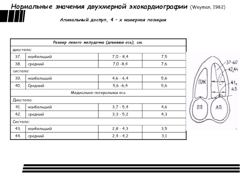 Эхокг в таблицах и схемах рыбакова