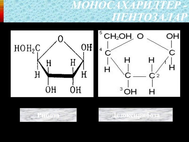 Дезоксирибоза является