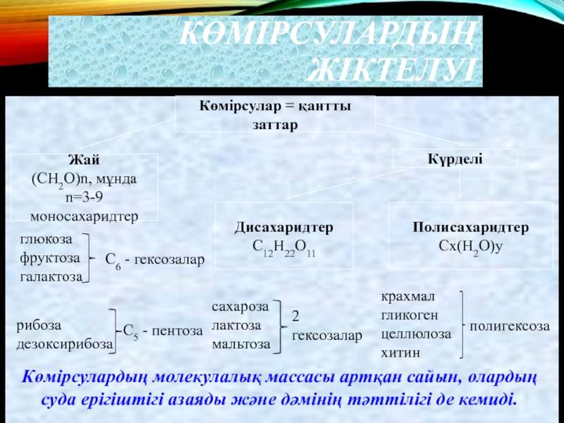 Рибоза глюкоза сахароза целлюлоза. Көмірсулар. Глюкоза сахароза крахмал Целлюлоза. Дисахаридтер презентация. Көмірсуларды жіктелуі моносахаридтер дисахаридтер полисахаридтер.