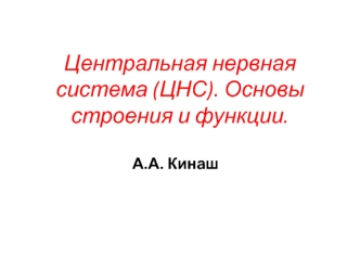 Центральная нервная система. Строение и функции