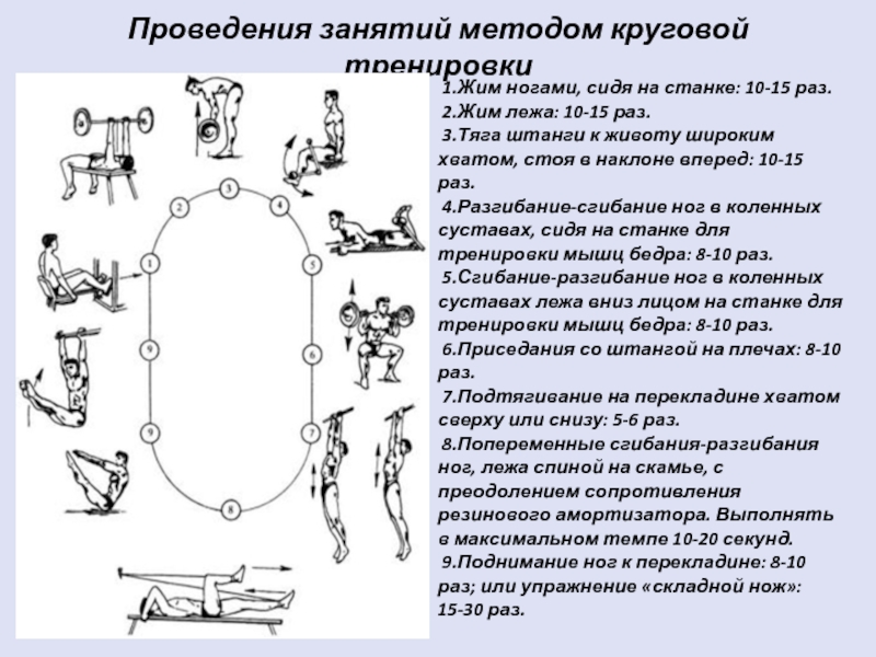 Кольцевой метод. Упражнения для круговой тренировки. Готовый комплекс упражнений круговой тренировки. Схема круговой тренировки. Алгоритм круговой тренировки.