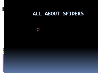 All about spiders