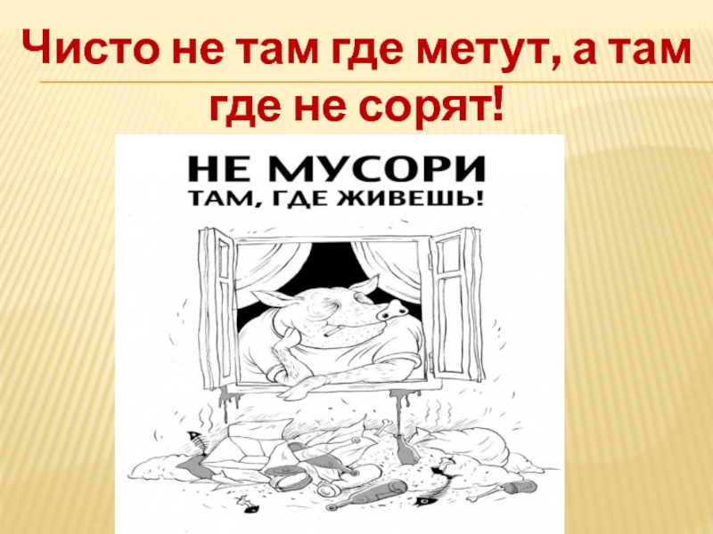 Чисто там где не мусорят картинки