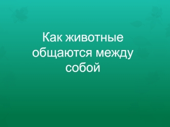 Как животные общаются между собой