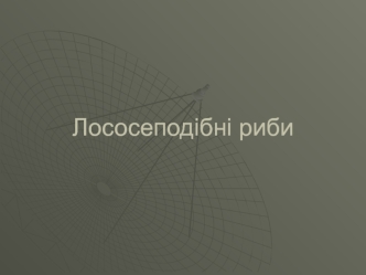 Лососеподібні риби. Райдужна форель