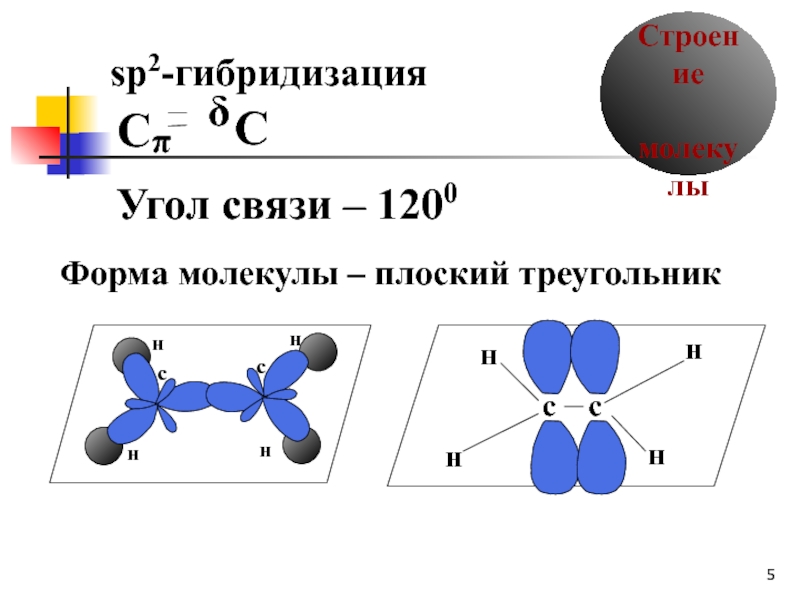 Плоская молекула. Строение алкенов sp2 гибридизация. Sp2 гибридизация форма молекулы. Sp2 гибридизация алкенов. Алкены sp2 гибридизация.