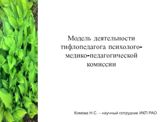 Модель деятельности тифлопедагога психолого-медико-педагогической комиссии