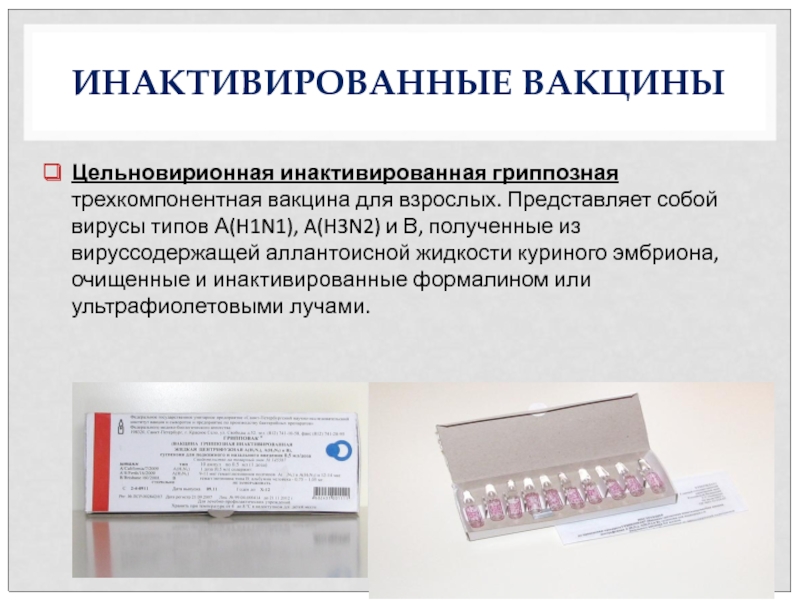 Вакцины микробиология презентация