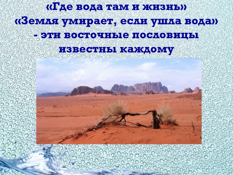 Там где вода. Изменение условий жизни на земле. Где вода. Куда уходить вода в землю. Где вода там и жизнь.