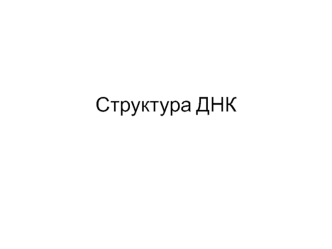 Структура ДНК