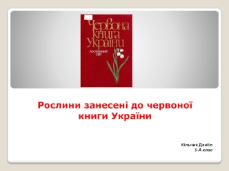 Рослини, занесенi до Червоноi книги Украiни: береза темна