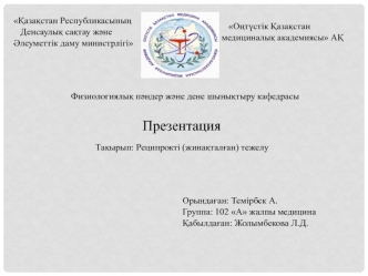 Презентация