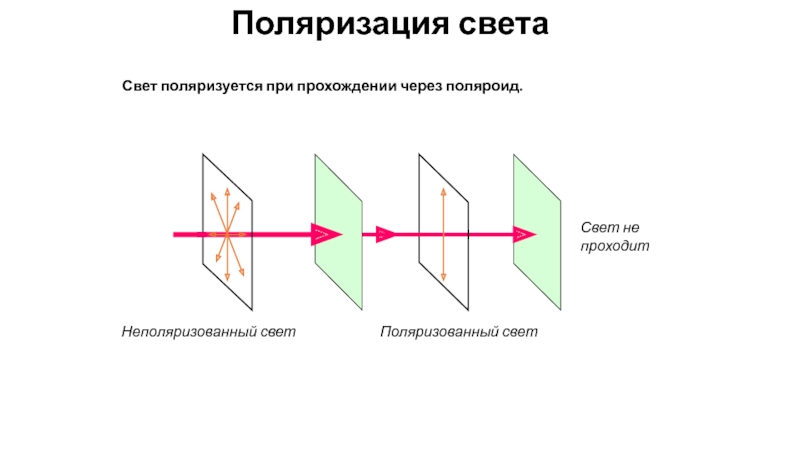 Поляризация света поляроиды презентация