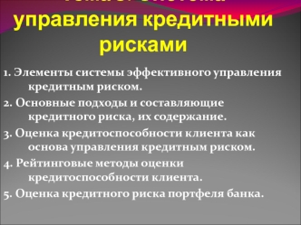 Система управления кредитными рисками