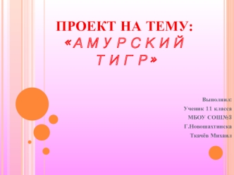 Амурский тигр (11 класс)