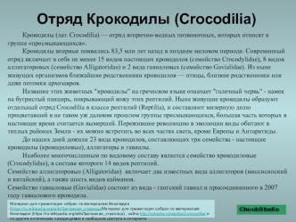 Отряд Крокодилы (Crocodilia)