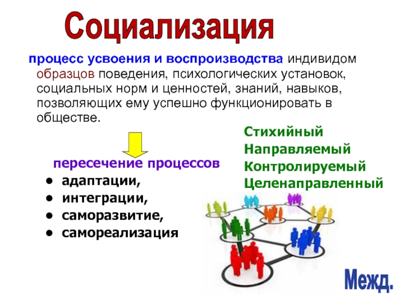 Социализация процесс усвоения индивидом образцов. Социализация это процесс усвоения норм поведения. Процесс усвоения знаний. Примеры индивидного поведения.