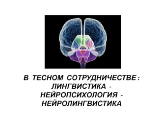 В тесном сотрудничестве: лингвистика - нейропсихология - нейролингвистика