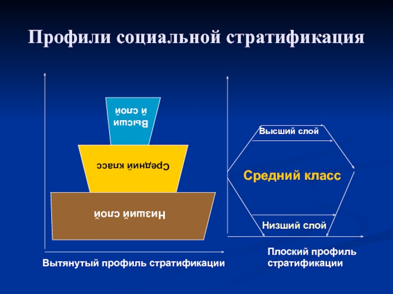 Социальная сфера общества стратификация