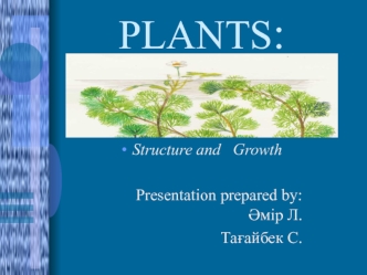 Structure and growth of plants