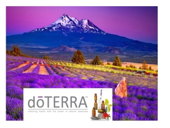 Ароматный doTERRa бизнес