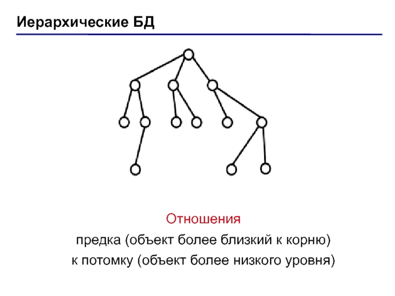 Объект более. Иерархические отношения. Иерархическая цепочка. В иерархической БД потомок корень предок. Синархические отношения.