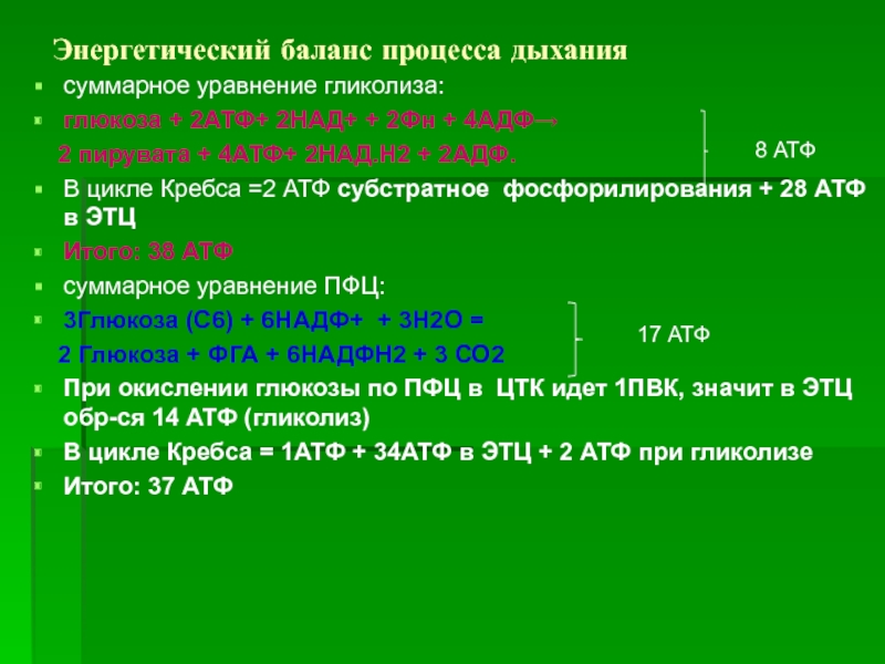 Баланс процесса. Энергетический баланс процесса дыхания. Энергетический баланс гликолиза. Баланс АТФ. Энергетический баланс процесса гликолиза.