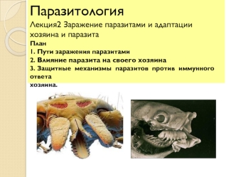 Паразитология. Заражение паразитами и адаптации хозяина и паразита. Лекция 2