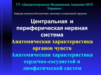 Анатомическая характеристика сердечно-сосудистой и лимфатической систем