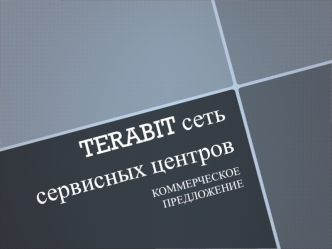 Коммерческое предложение TERABIT