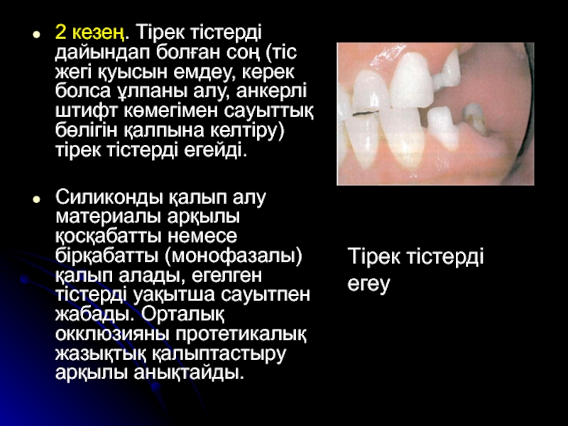 Тістем түрлері презентация