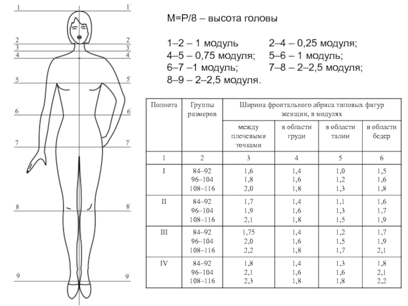 Высота 8. Высота головы. Средняя высота головы. Высота головы в см. Высота головы женщины.