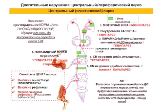 ТОПИКА