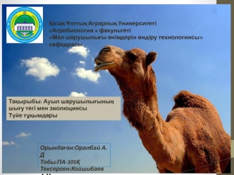 Ауыл шарушылығының шығу тегі мен эволюциясы