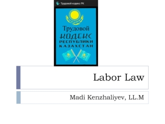 Labor law. (Lecture 3)