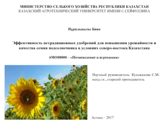 Эффективность нетрадиционных удобрений для повышения урожайности семян подсолнечника в условиях северо-востока Казахстана