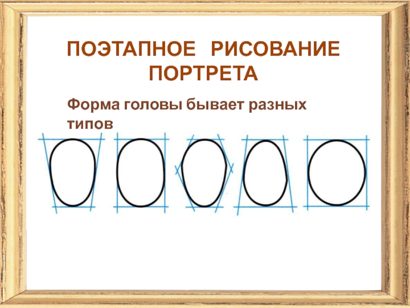 Виды голов. Форма головы. Основные формы головы. Название форм головы. Типы формы головы человека.