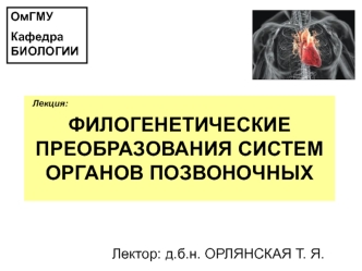 Филогенетические преобразования систем органов позвоночных