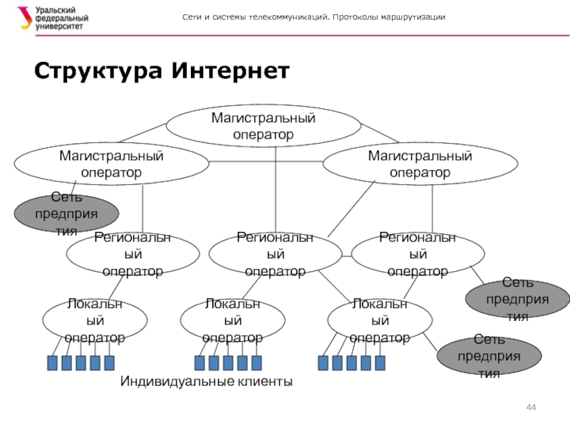 Строение сети