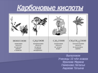 Карбоновые кислоты. Уксусная кислота, муравьиная кислота