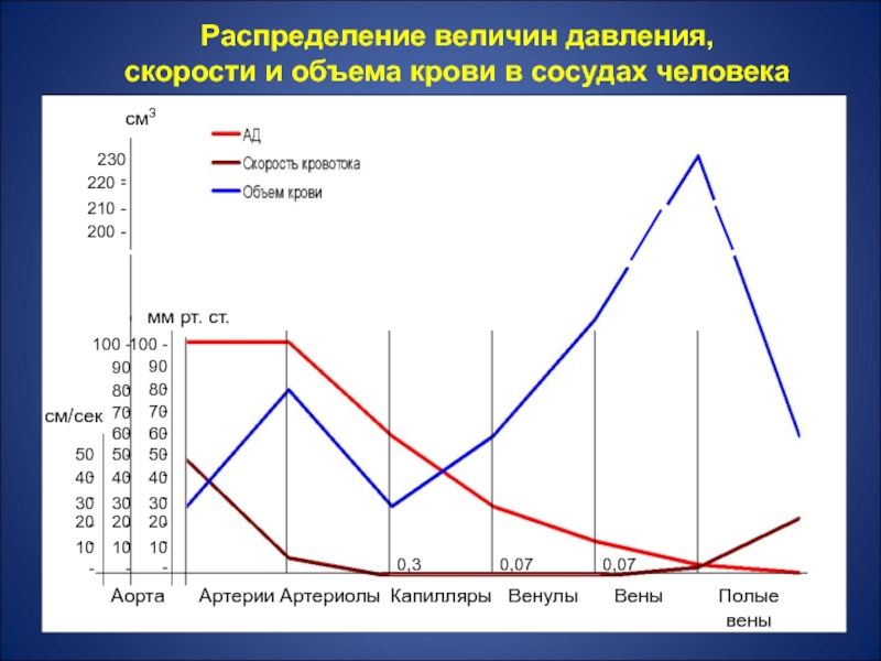 Величина артериального давления в артериях. Объем и распределение крови.. Давление и скорость крови в сосудах. Объем крови и давление. Диаграмма давления и объема крови.