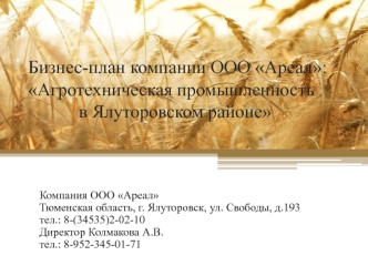 Бизнес-план компании ООО Ареал: Агротехническая промышленность в Ялуторовском районе