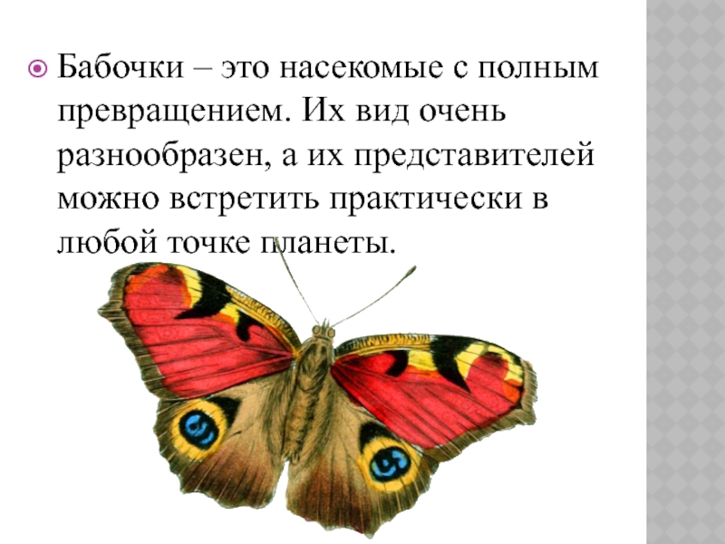 Какие превращения ждут бабочку презентация 1 класс экология.